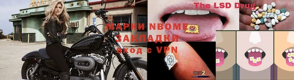 ECSTASY Ельня