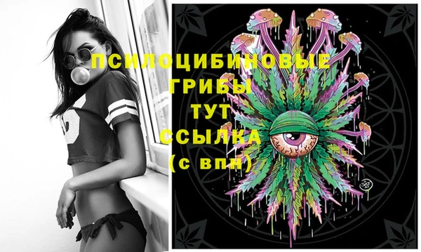 ECSTASY Ельня