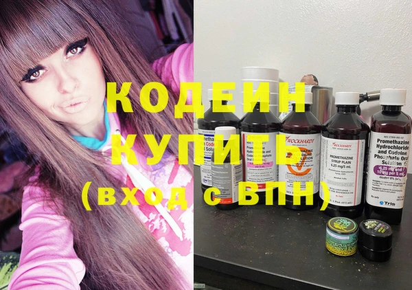 гашик Елизово