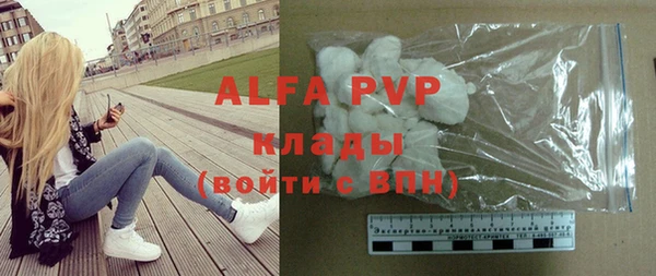 гашик Елизово