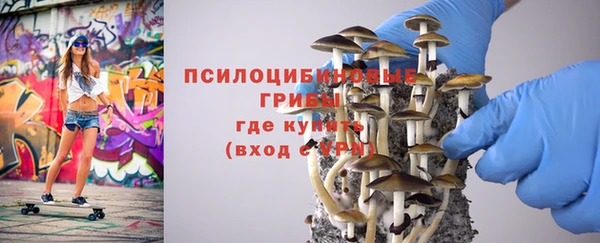 гашик Елизово