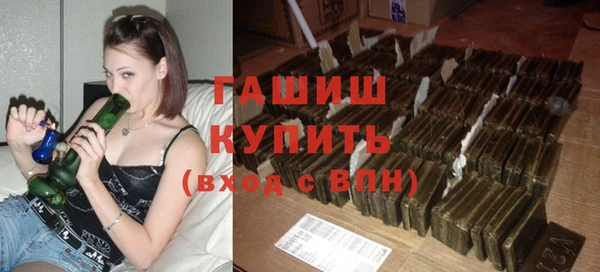 гашик Елизово