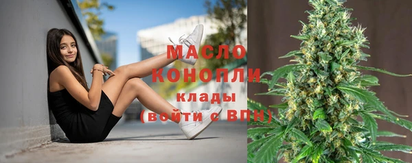 ECSTASY Ельня