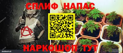 ешки Балаково