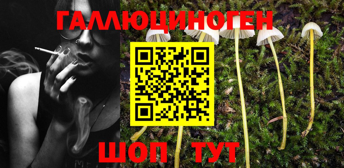 Галлюциногенные грибы Psilocybine cubensis  Вход с VPN  Псилоцибиновые грибы Cubensis  продажа наркотиков  Новокузнецк 