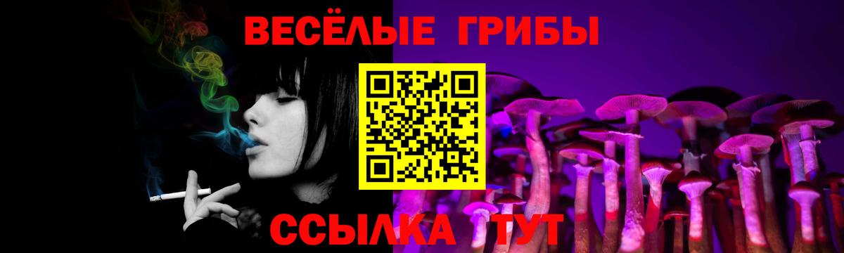 Ляпка  Бошки Шишки  Альфа-ПВП  МЕФ  Где купить наркотики?  Кокаин  ГАШ  Вход с VPN  Новокузнецк  Конопля 