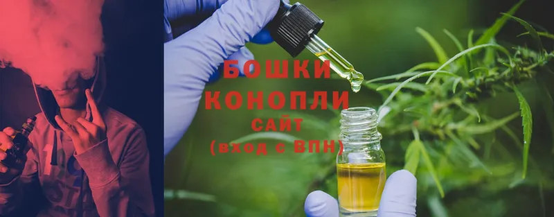 где можно купить   Новокузнецк  Бошки Шишки White Widow 