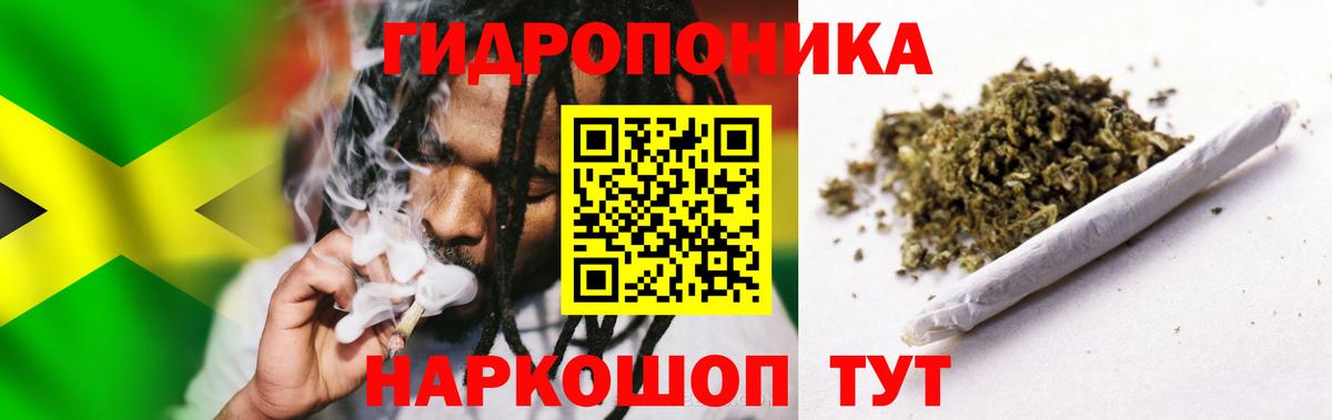 Бошки марихуана Ganja  Вход с VPN  Бошки марихуана марихуана  Новокузнецк  Канабис White Widow 